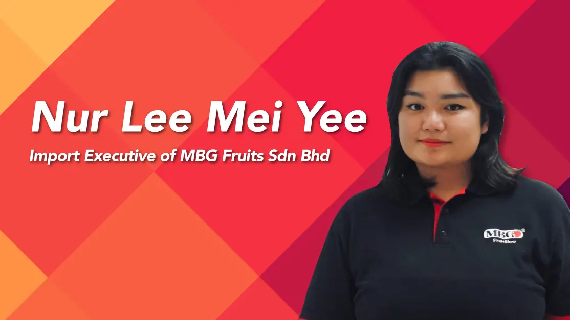 NUR LEE MEI YEE
