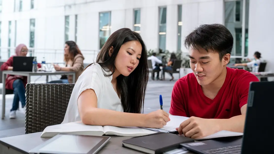 Peer-to-peer Tutor (PALS)