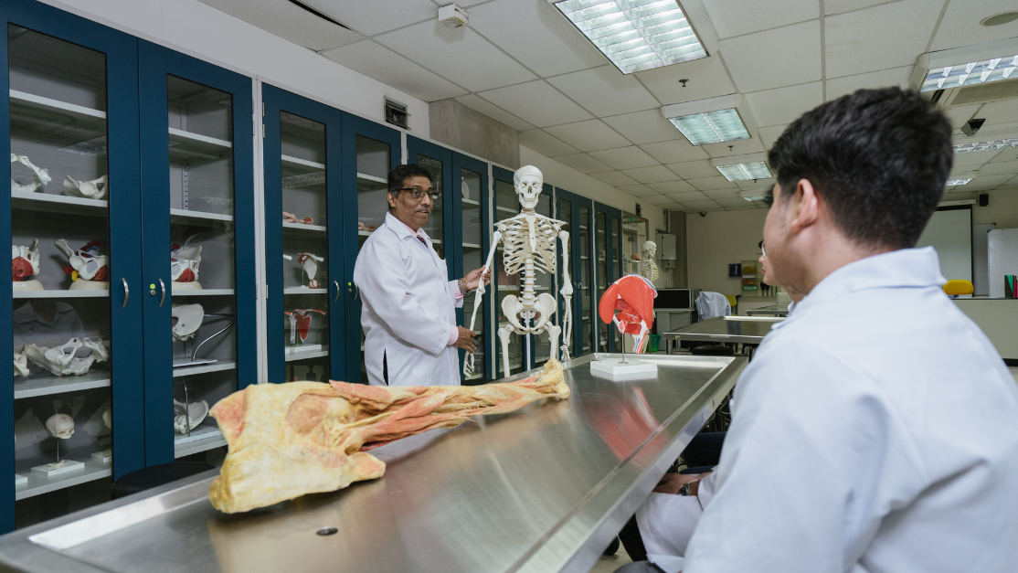lecturer teaching using a skeleton of a human