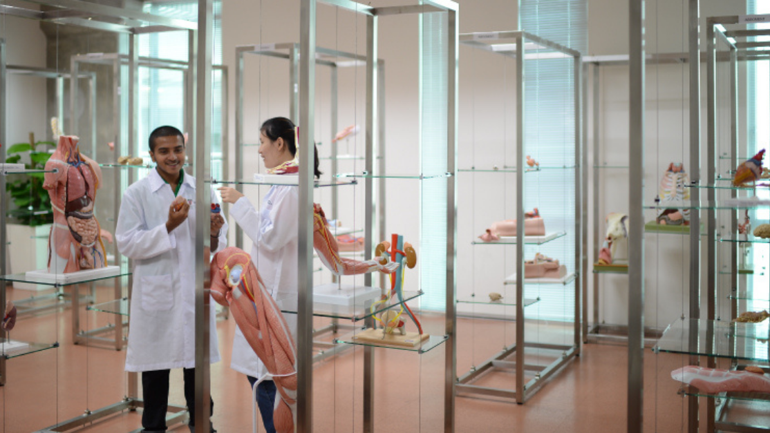 Student in the Anatomy lab