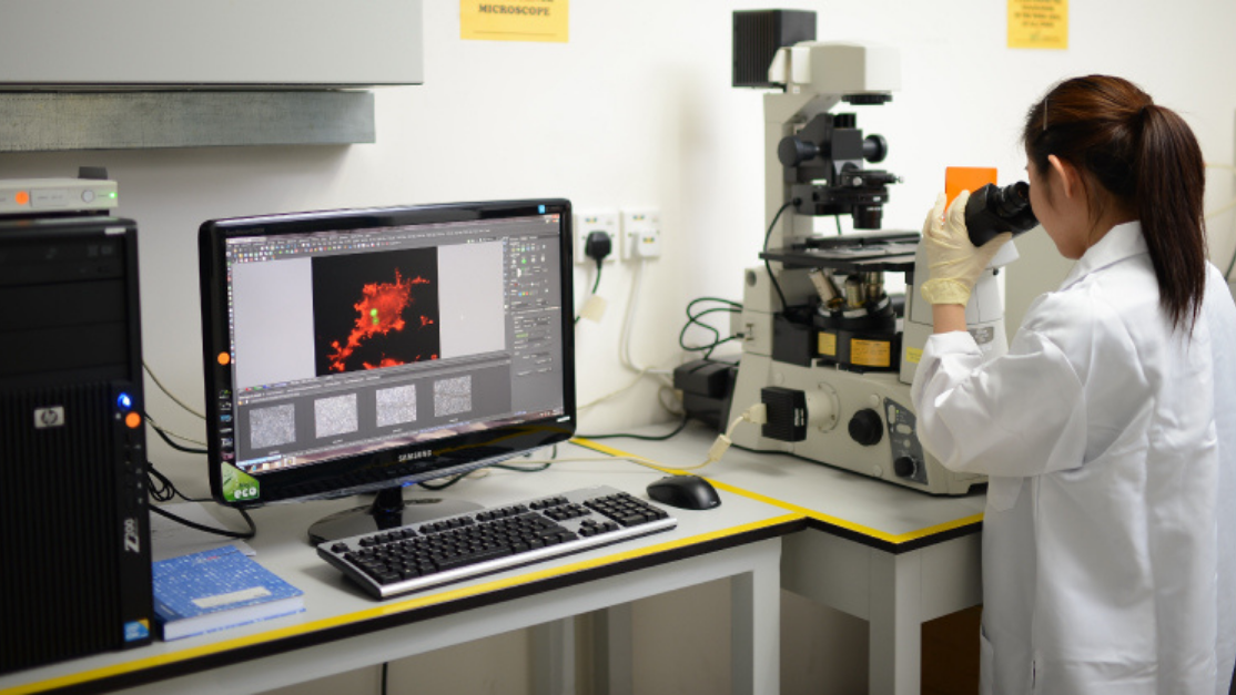 an idle computer and a female student working 