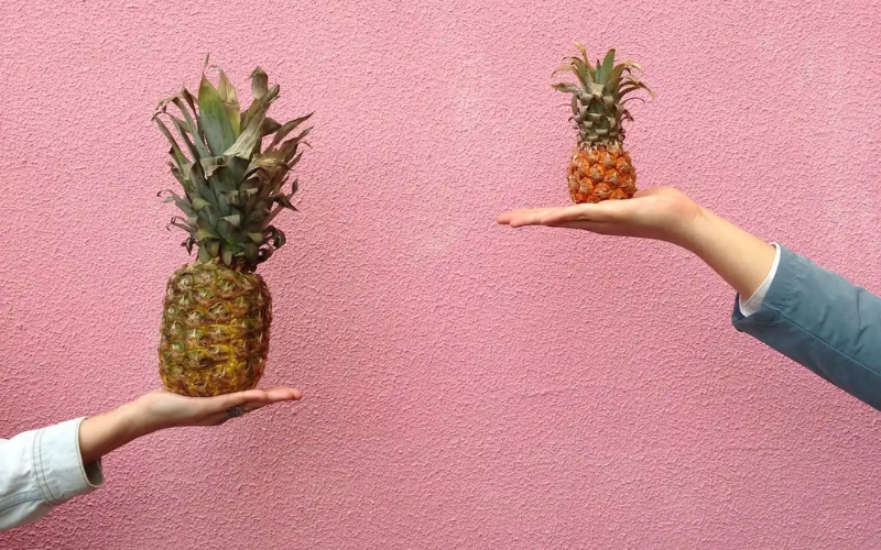 2 hands holding a pineapple