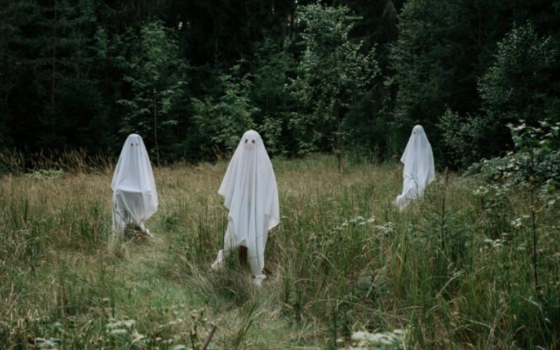 3 ghosts at grassy field
