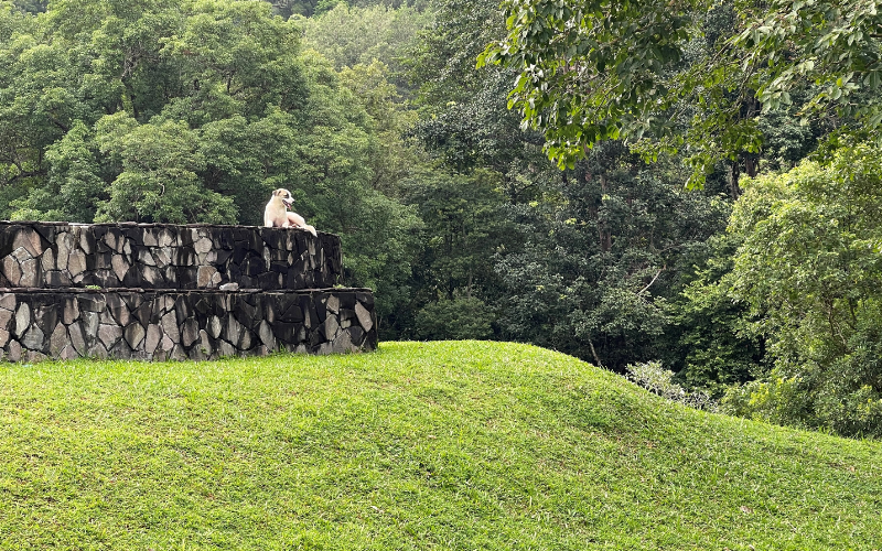 Picture 10: A wide angle shot of a scene