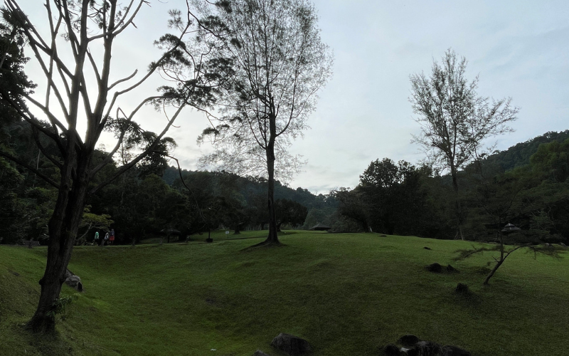 Picture 13: Underexposed Image