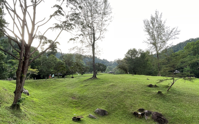 Picture 14: A normal iPhone shot