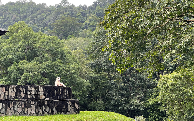 Picture 8: An ultrawide angle shot of a scene.