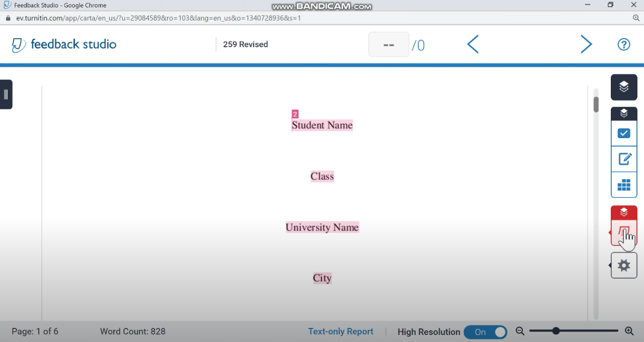 Turnitin page highlighted