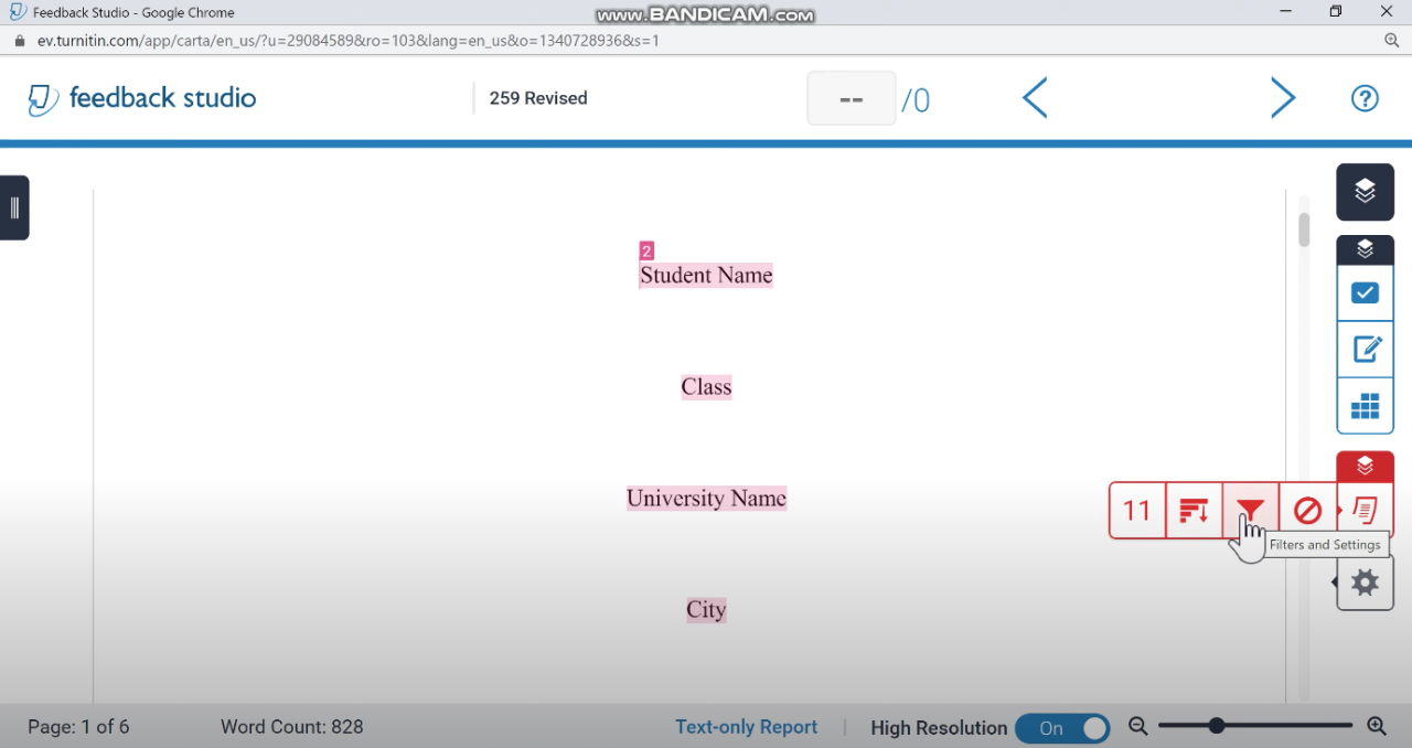 Turnitin page highlighted