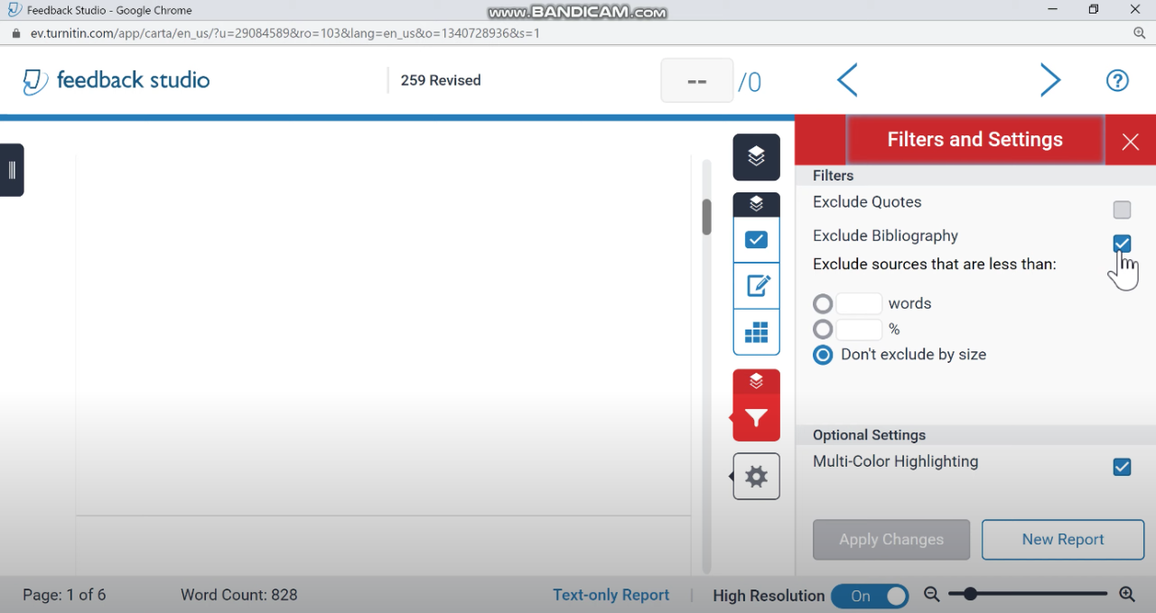 Turnitin page highlighted