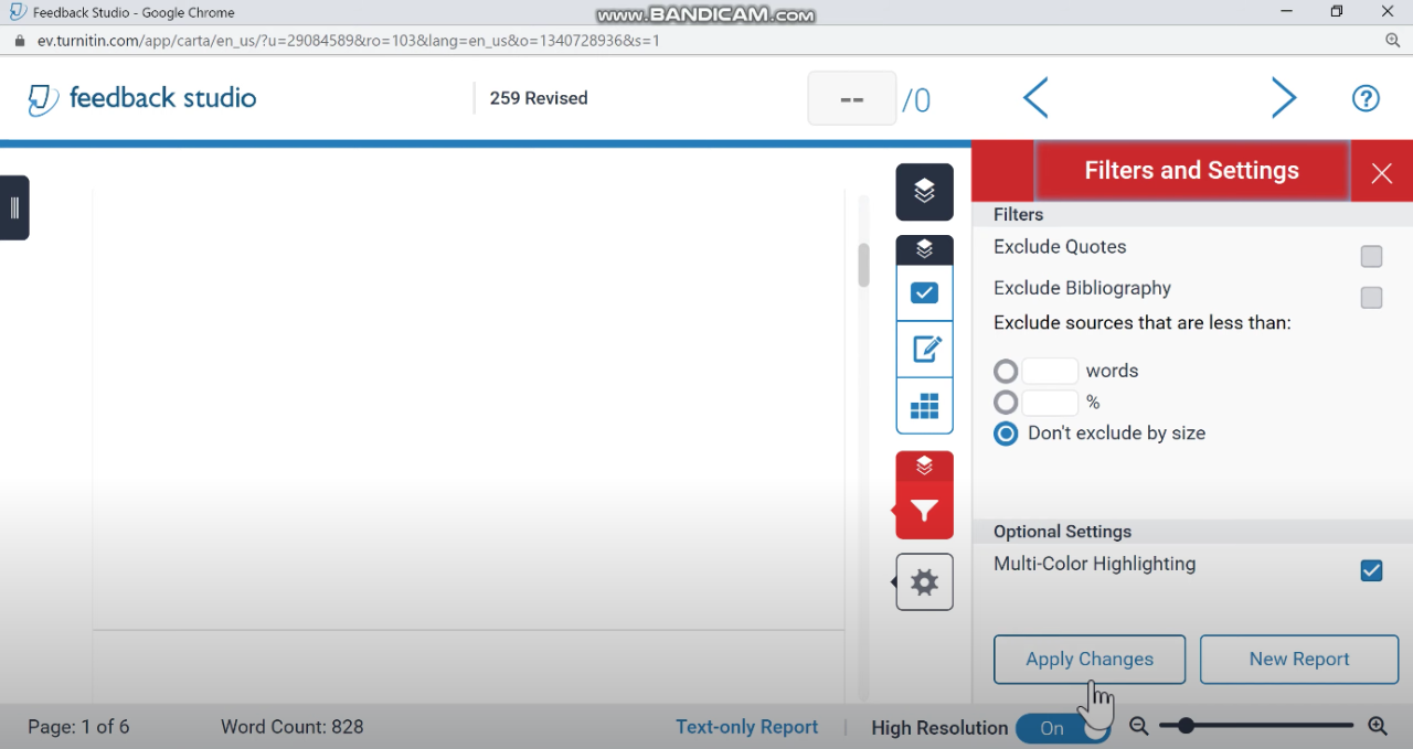 Turnitin page highlighted