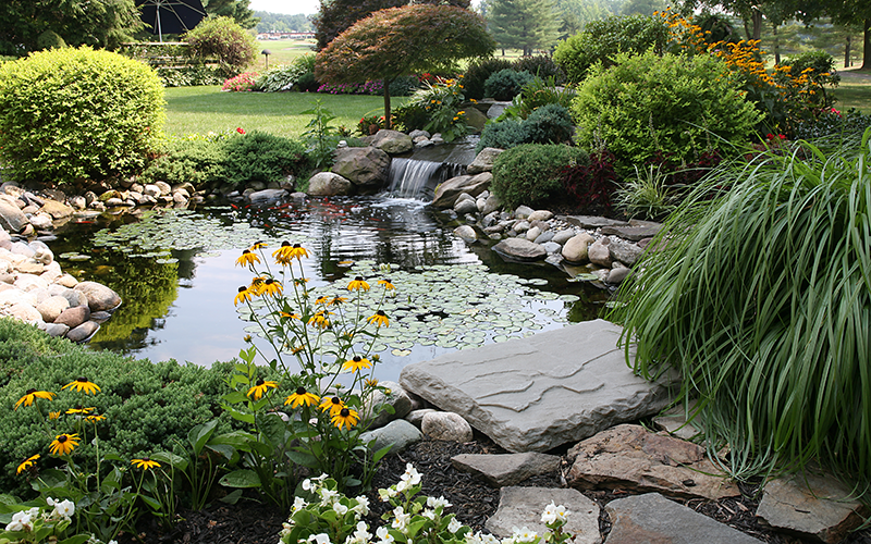 Sensory garden