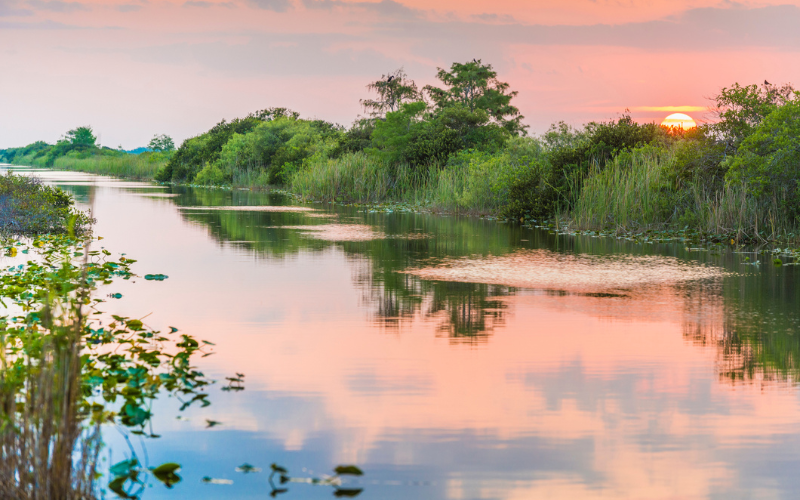 Everglades National Park in Florida, United States