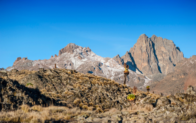Mount Kenya National Park in Kenya