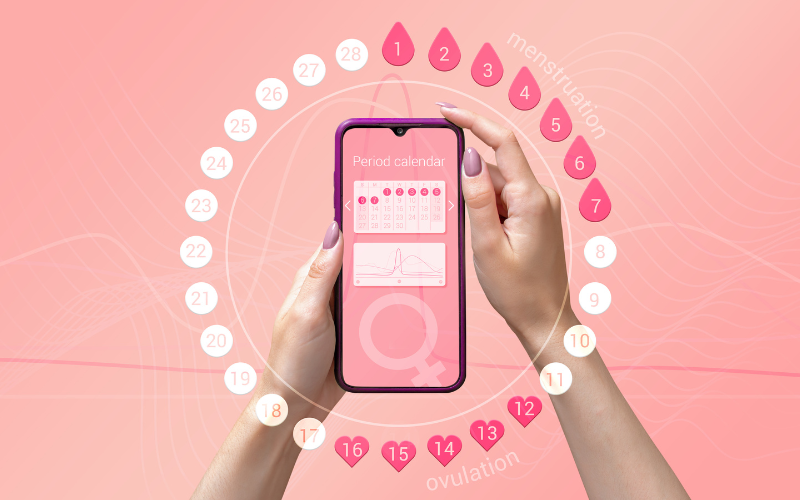 Hands holding smartphone with period calendar app displayed