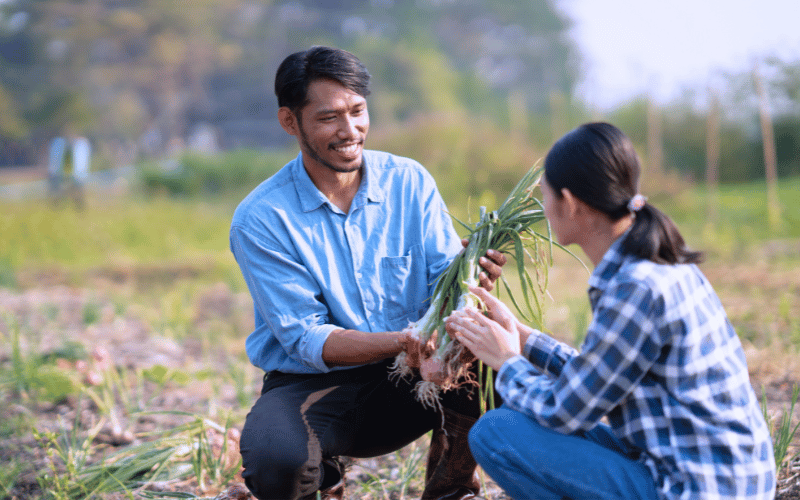 Male farmer presents the crop harvest to female farmer
