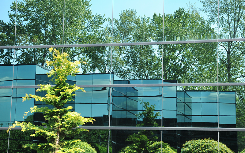 Refletion of greenery in urban setting