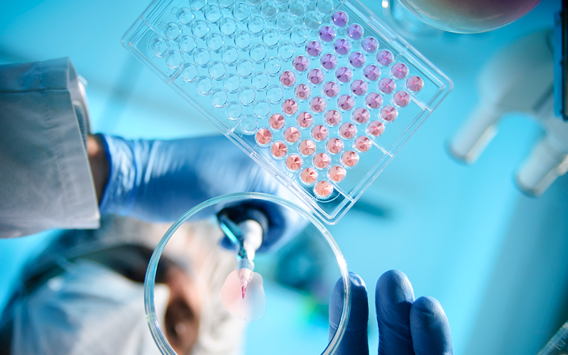 A scientist using a pipette with a microtiter plate and a petri dish