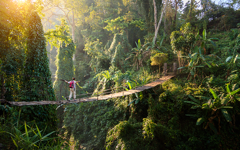 Backpacker on suspension bridge in rainforest