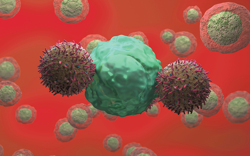 chimeric antigen receptors (CARs)