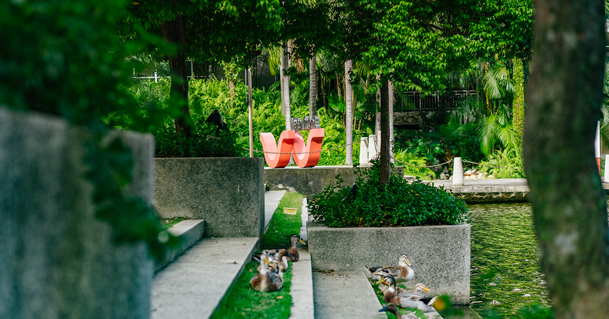 Greenery in Taylor's Lakeside Campus