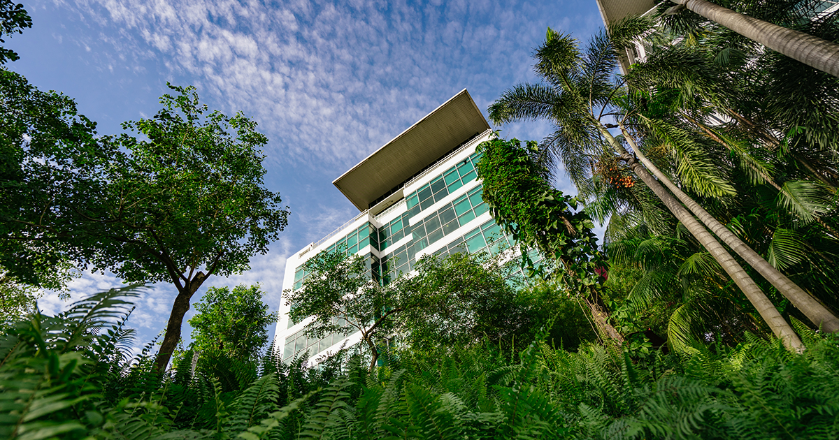 Greenery in Taylor's Lakeside Campus