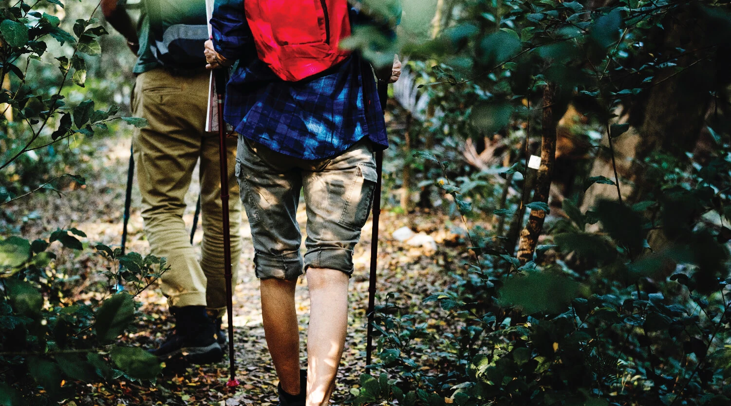2 individuals hiking on a jungle trail
