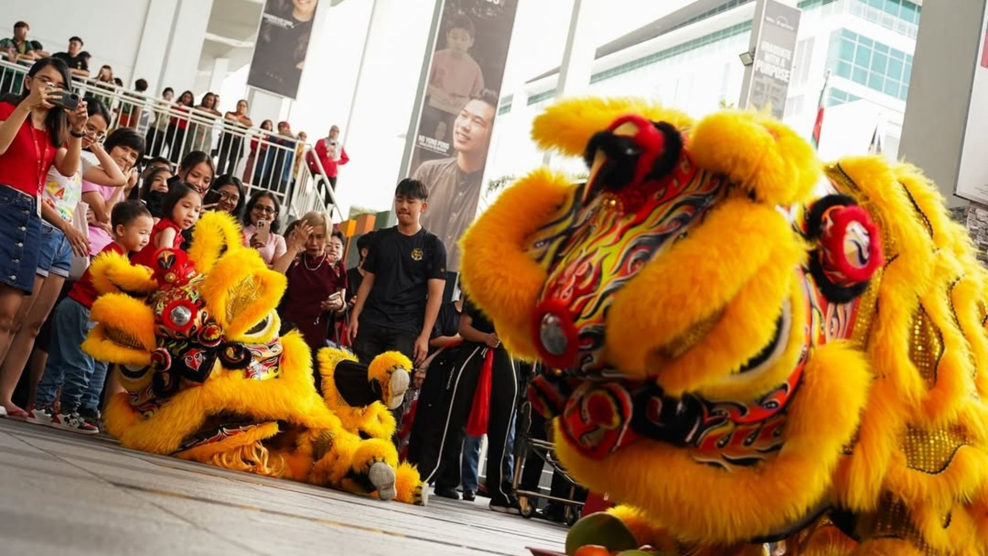 lion dance performance 